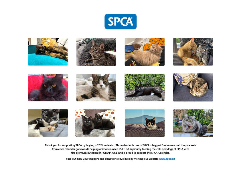 2024 SPCA Calendar Cats SPCA Fundraising