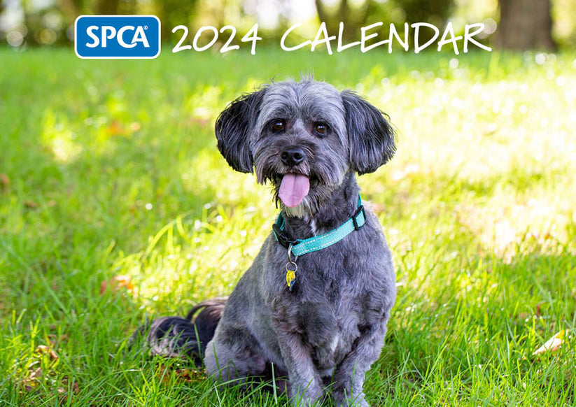 2024 SPCA Calendar Dogs SPCA Fundraising