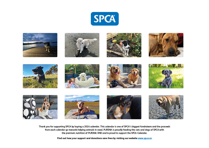 2024 SPCA Calendar - Dogs